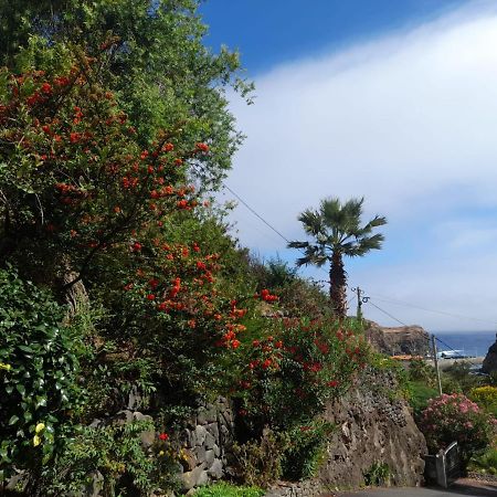 Paraiso Resiliente Santana  Exterior photo